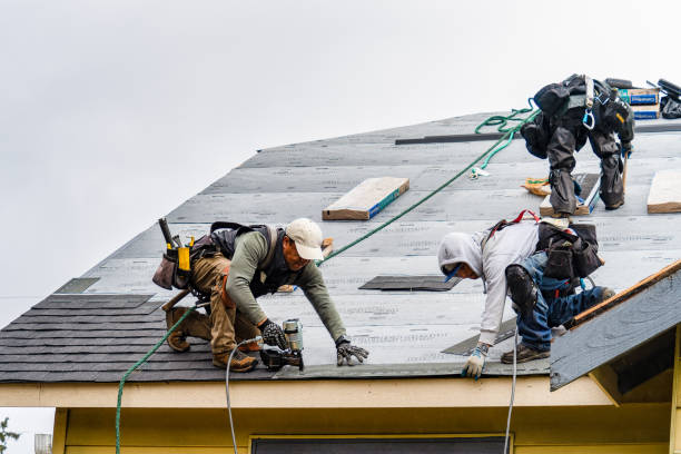 Professional Emergency Roof Repair technician working in Cherry Tree, PA